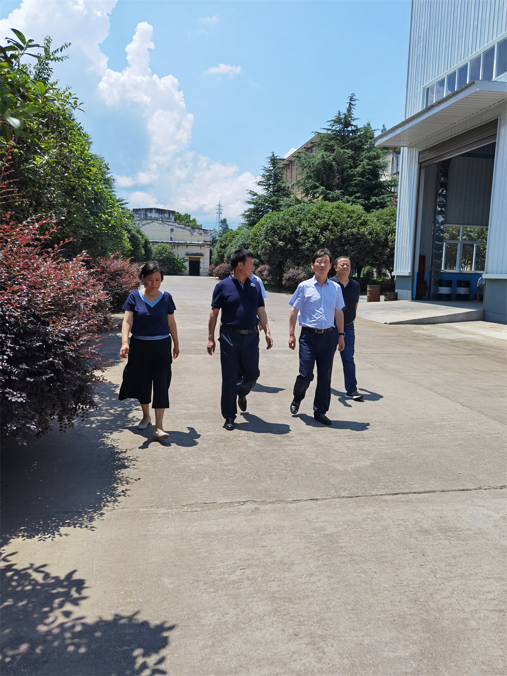 中國農(nóng)業(yè)發(fā)展銀行安康市分行行長趙明一行人來我公司調研生產(chǎn)經(jīng)營情況